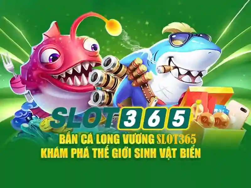 Khuyến mãi và chương trình thành viên