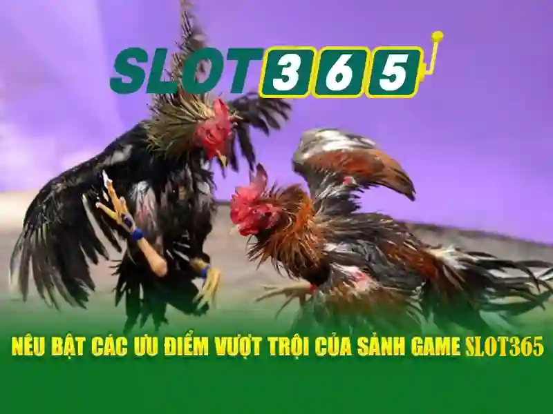 Slot365: Nền tảng slot trực tuyến uy tín và tiện lợi