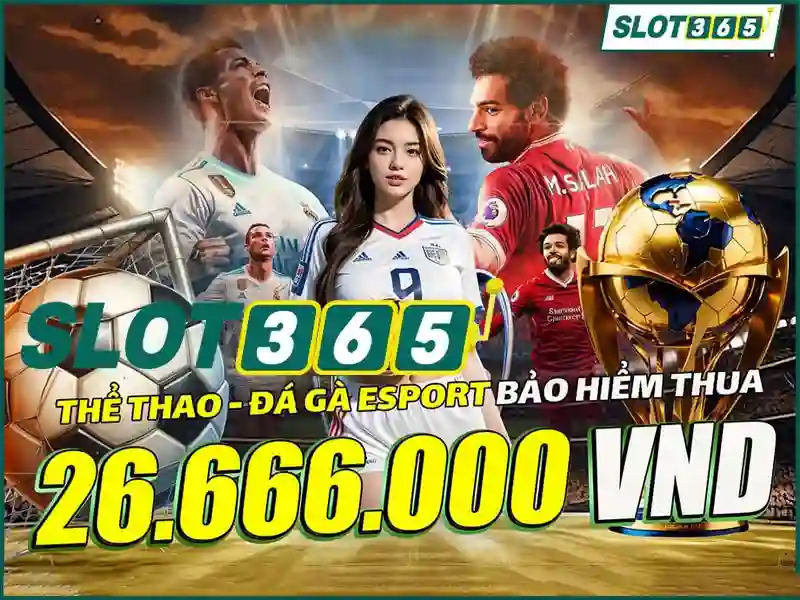 An toàn và thanh toán