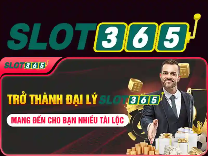 Giao diện và trải nghiệm người dùng