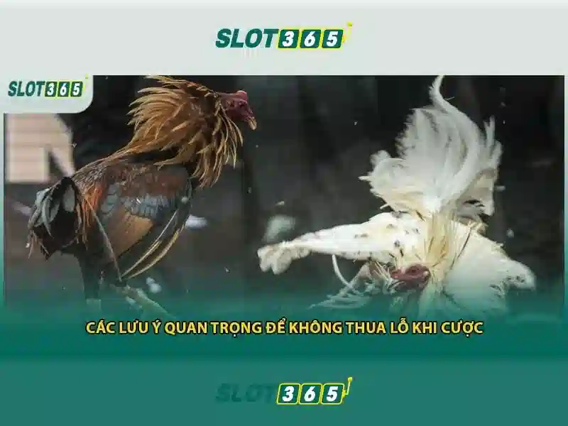 Slot365: Trải nghiệm quay số trực tuyến tuyệt vời