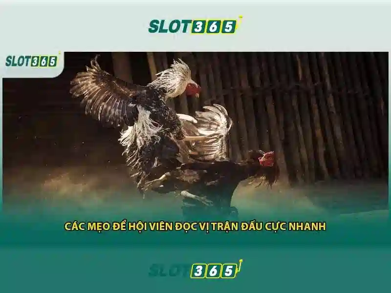 Slot365 là gì? - Đánh giá và hướng dẫn chơi có trách nhiệm