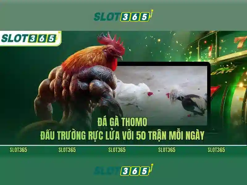 Giao diện người chơi Slot365 trên máy tính