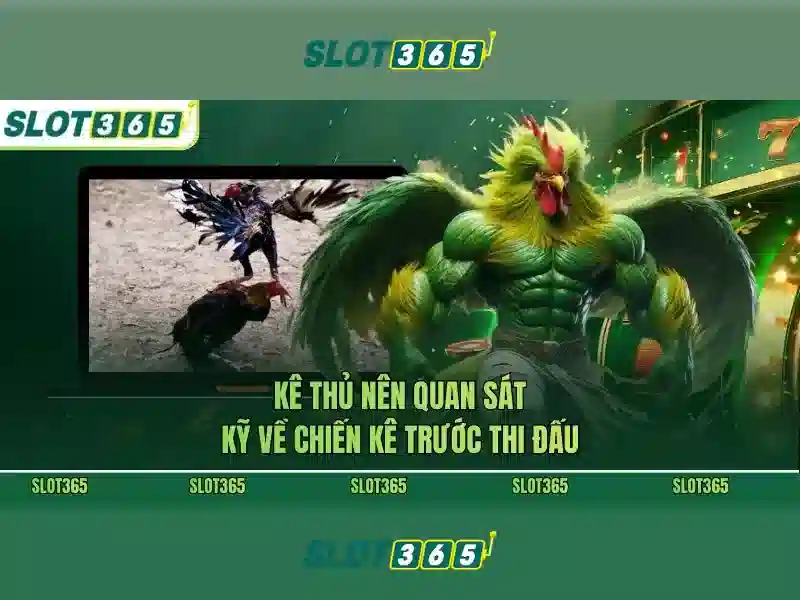Hỗ trợ khách hàng và cộng đồng