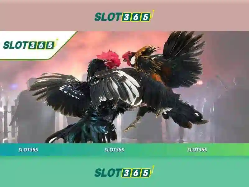 Slot365 – Trải nghiệm chơi slot đỉnh cao