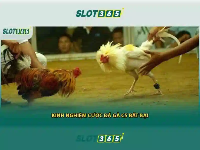 Slot365 - Trải nghiệm chơi slot trực tuyến đáng tin cậy