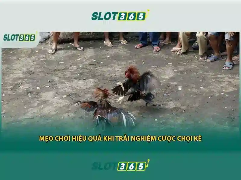 Các tính năng nổi bật