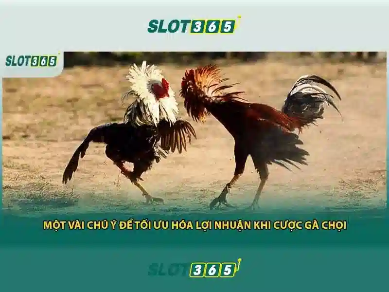 Slot365 – Trải nghiệm casino trực tuyến hàng đầu tại Việt Nam