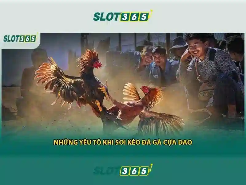 Slot365 là gì?