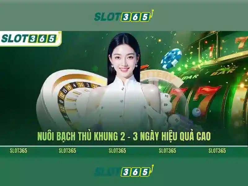 Giới thiệu Slot365