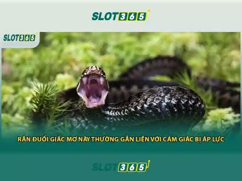 Trải nghiệm người dùng và đánh giá