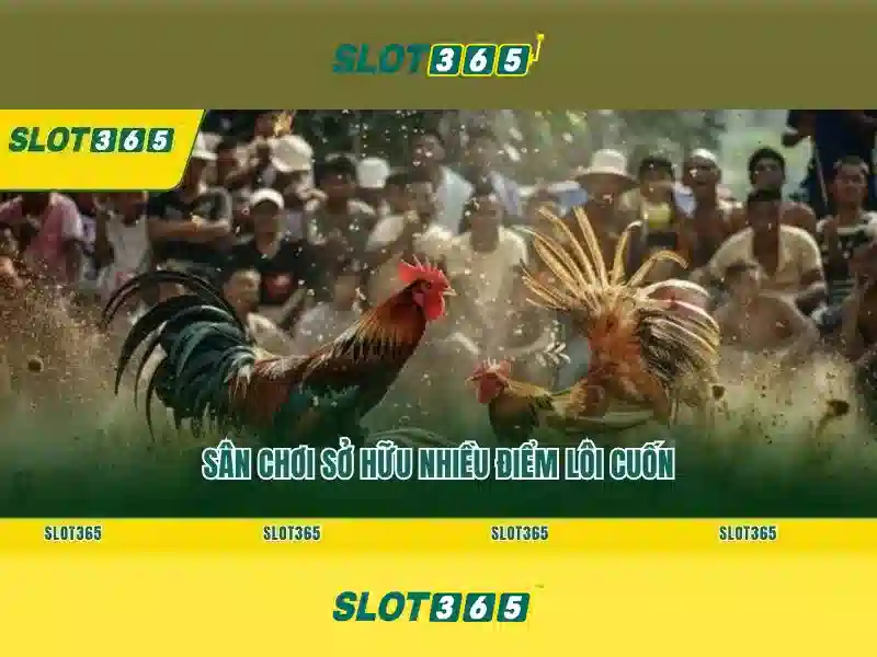 slot365 win - Trải nghiệm và phân tích toàn diện