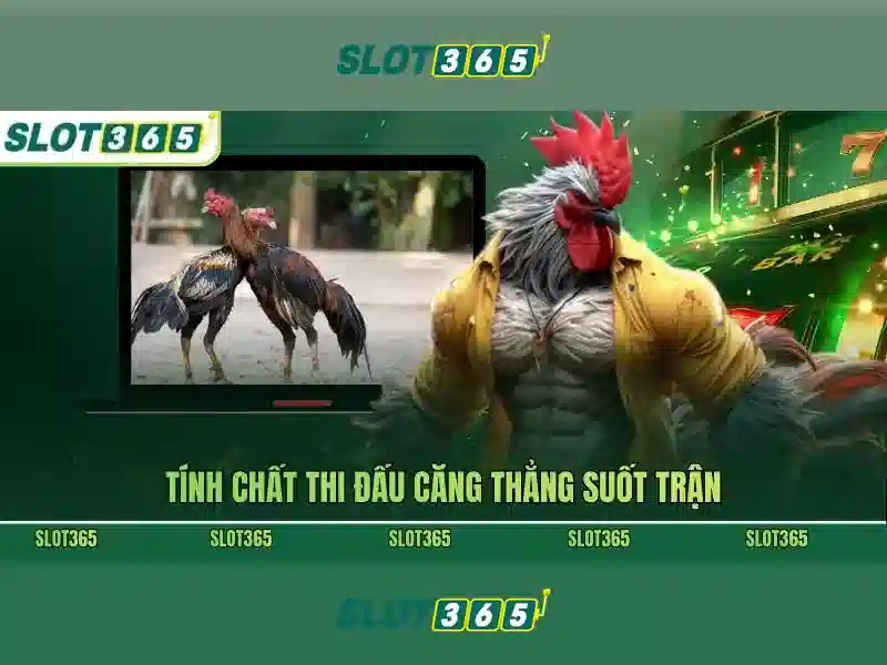 Trò chơi phổ biến tại Slot365