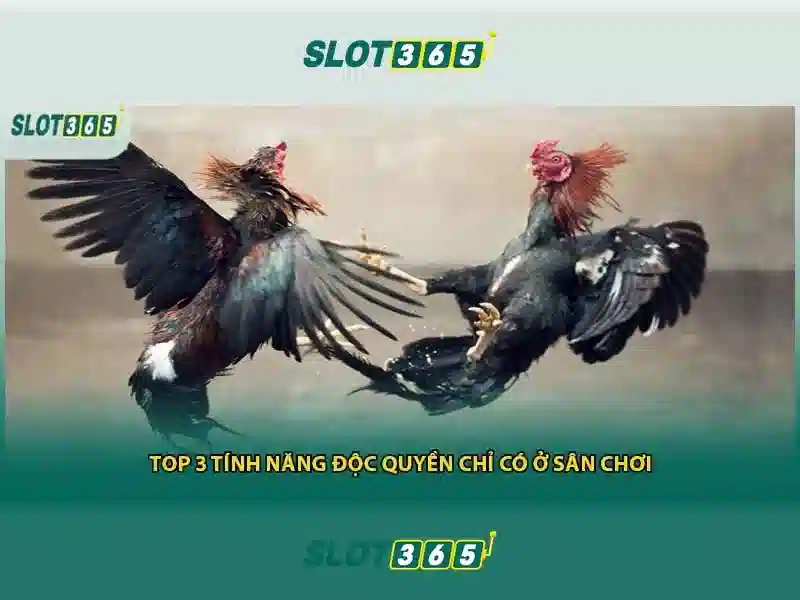 Slot365 - Trải nghiệm chơi slots trực tuyến an toàn và thú vị