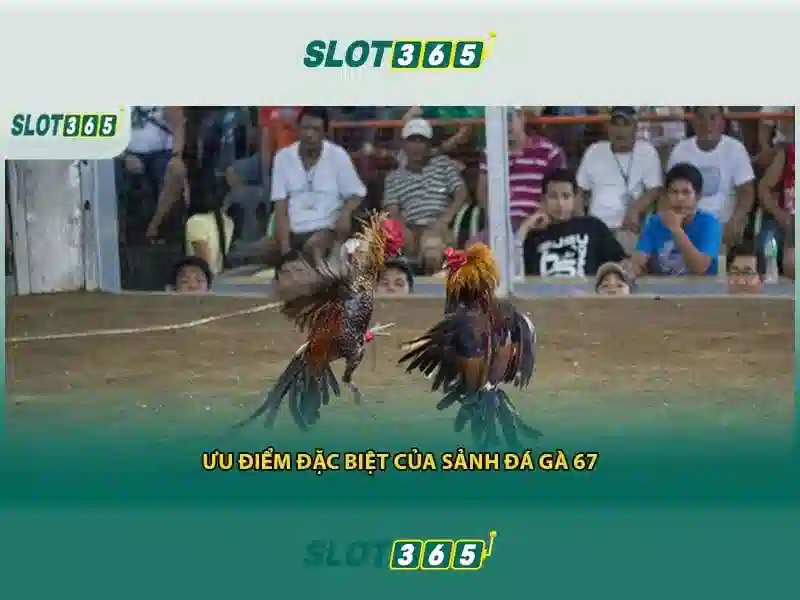 Slot365: Đánh giá nền tảng slot trực tuyến uy tín