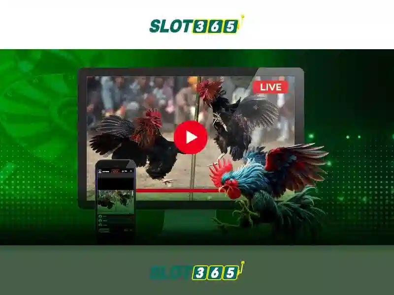 Lợi ích của Slot365
