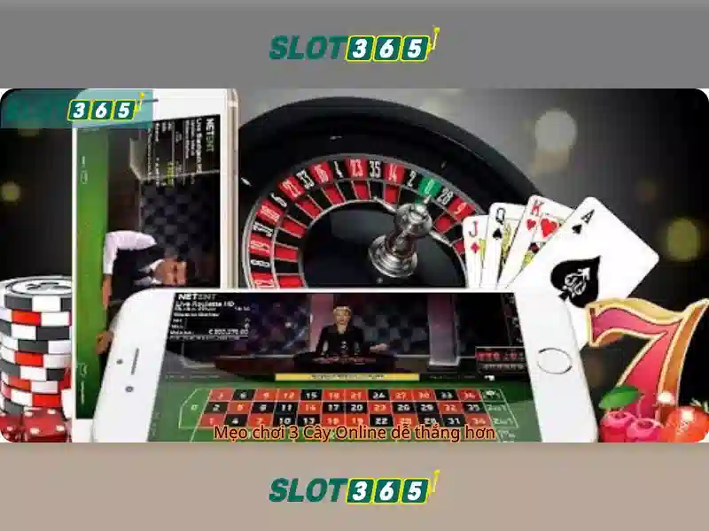 Slot365: Nền tảng trò chơi xèng trực tuyến