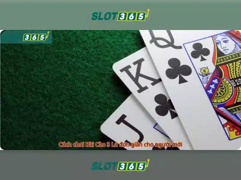 Slot365: Nền tảng casino trực tuyến đáng tin cậy