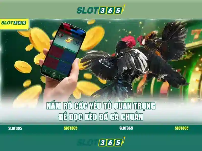 Slot365 - Cổng trò chơi máy đánh bạc trực tuyến
