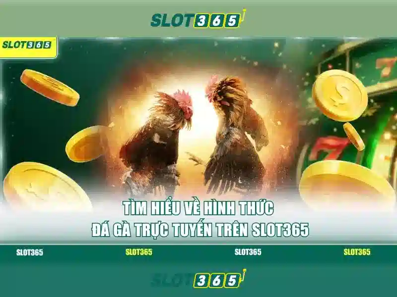 Trải nghiệm chơi tại Slot365