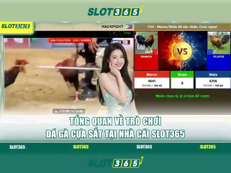Trải nghiệm người dùng và chương trình thưởng