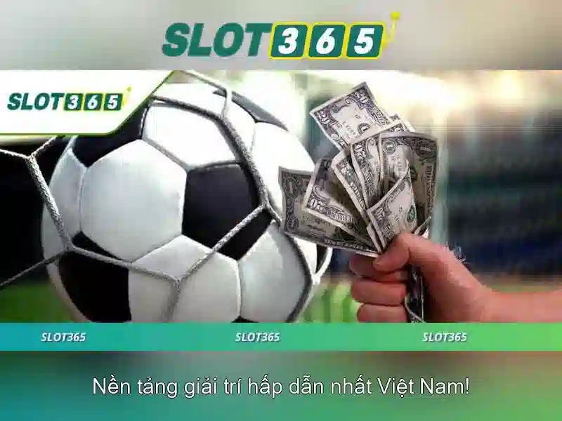 Giao diện và trải nghiệm người dùng