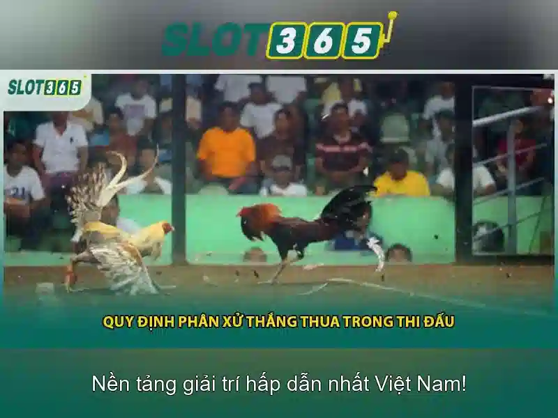 Slot365 – Nền tảng slot trực tuyến đẳng cấp với trải nghiệm tối ưu