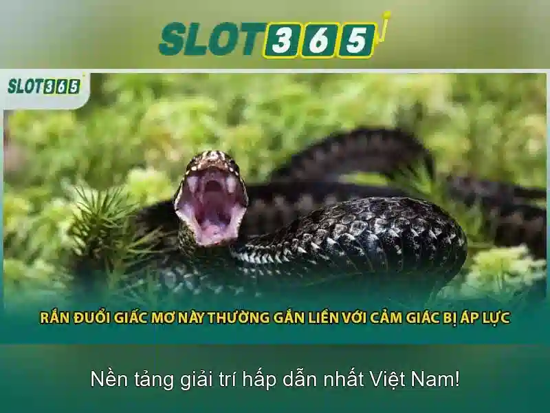 Slot365: Trải nghiệm casino xèng trực tuyến đáng tin cậy