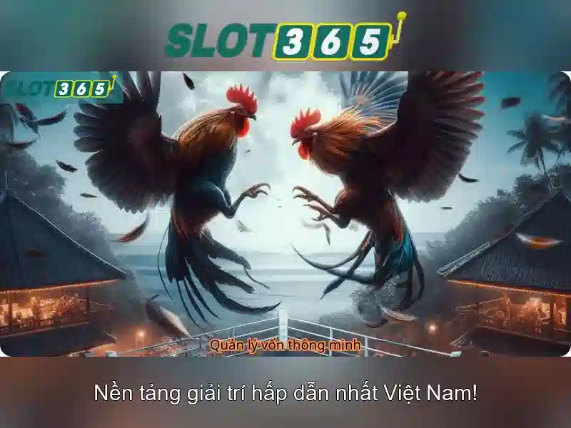 Đa dạng trò chơi và nhà cung cấp