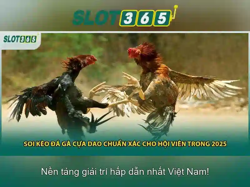 Slot365 – Khám phá thế giới slot trực tuyến