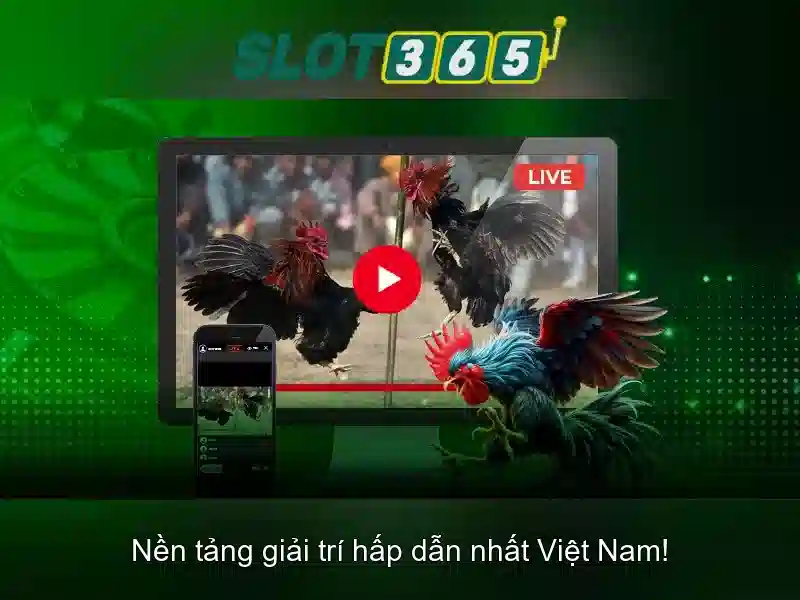 Slot365 là nền tảng xèng trực tuyến nổi bật