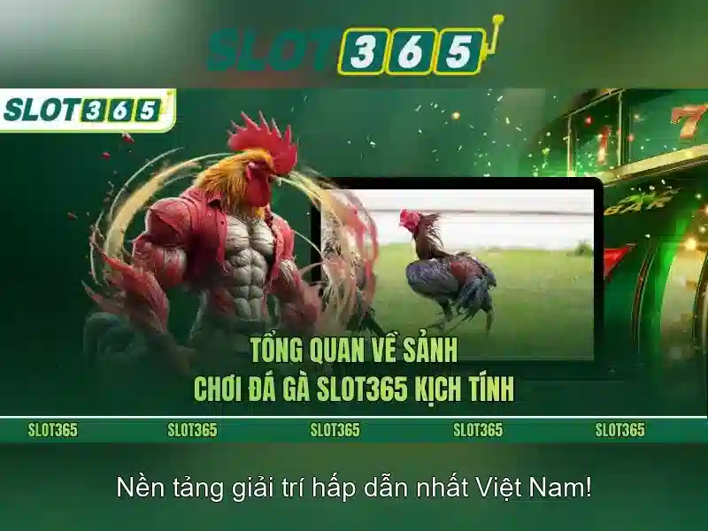 Slot365 – Nền tảng slot trực tuyến an toàn