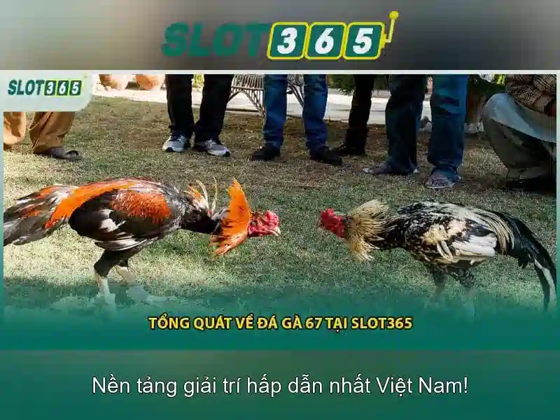 Hỗ trợ khách hàng và cộng đồng người chơi