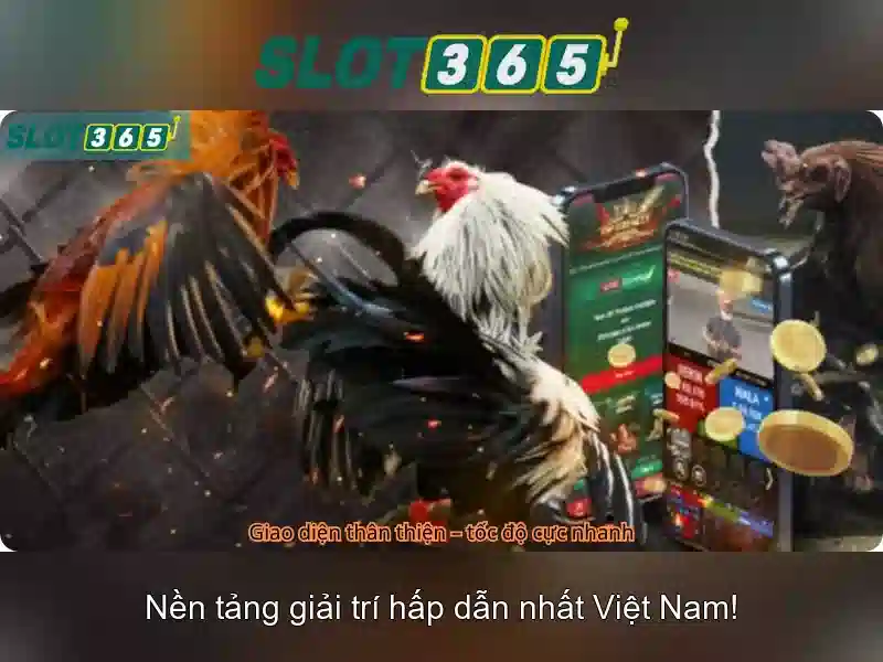 Slot365 là gì