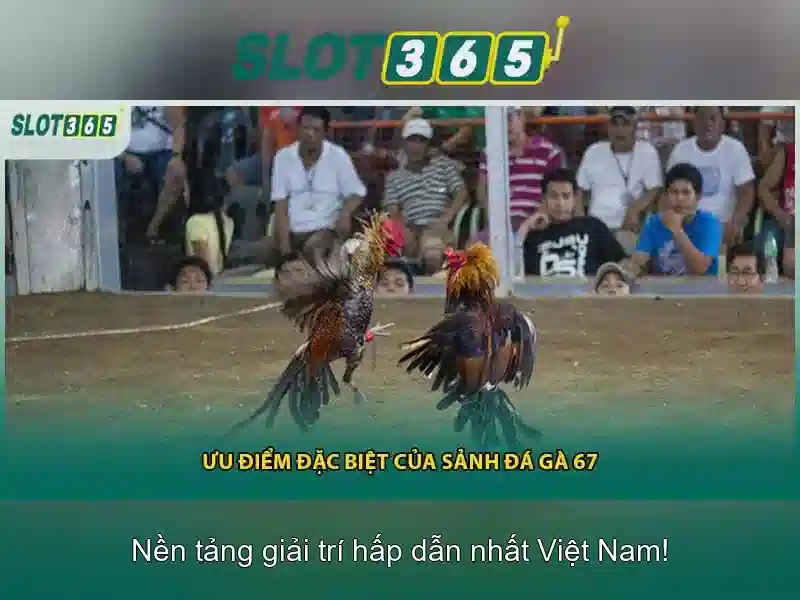 Slot365 – Nền tảng slot trực tuyến hàng đầu
