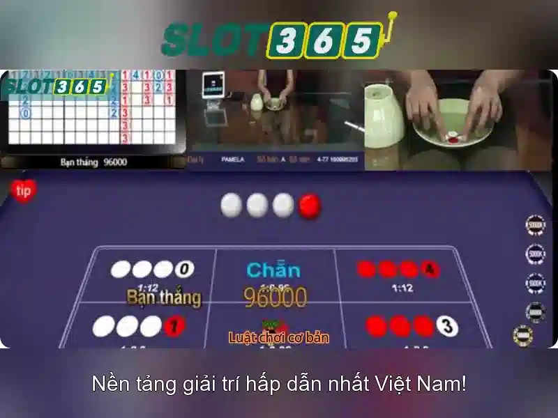 Slot365: Nền tảng giải trí slot trực tuyến hàng đầu