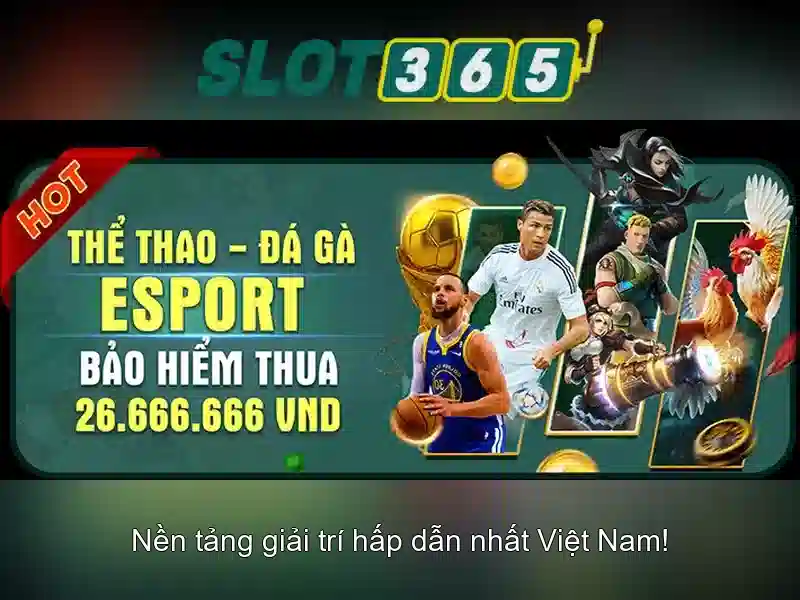 Đặc điểm nổi bật