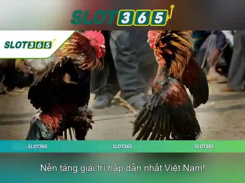 Slot365 - Trải nghiệm chơi slot trực tuyến tuyệt vời