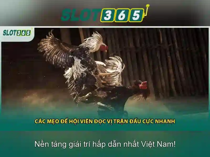 Slot365: Trải nghiệm chơi slot trực tuyến chất lượng cao