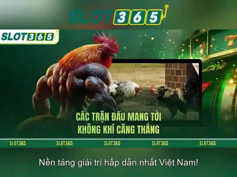 Nguồn gốc và sứ mệnh của tải Slot365