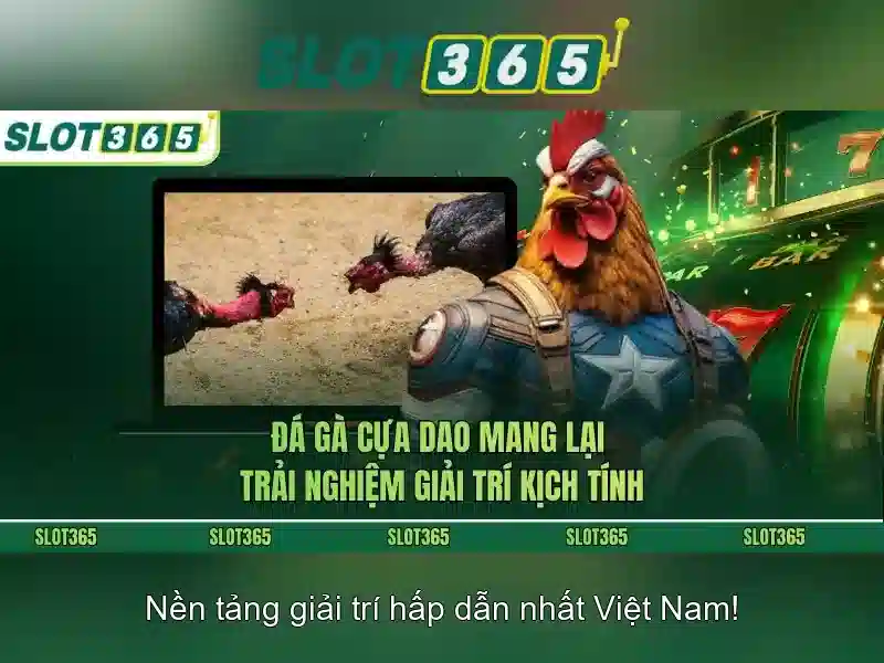 Khuyến mãi và chương trình thưởng