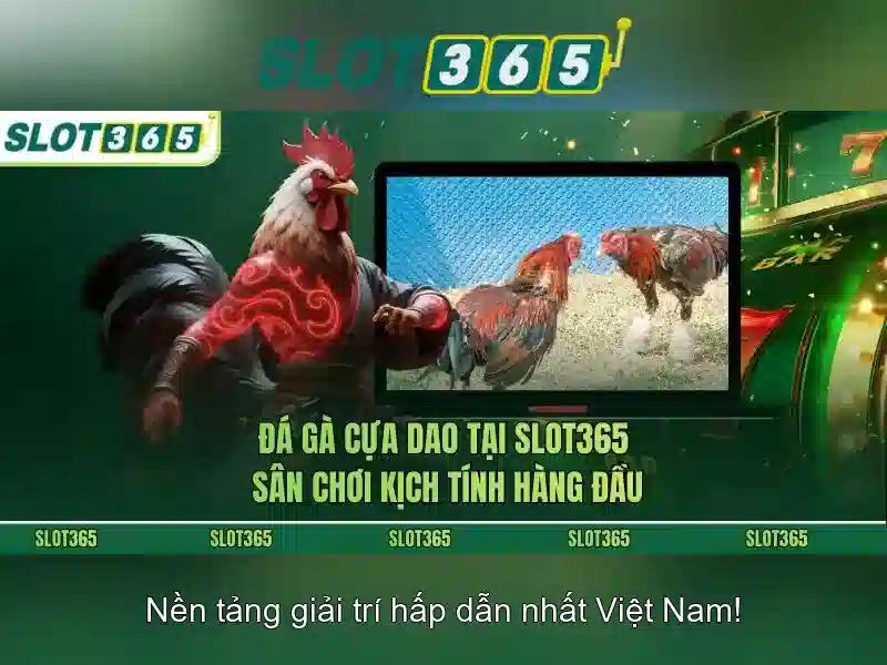 Slot365: Nền tảng trò chơi trực tuyến uy tín