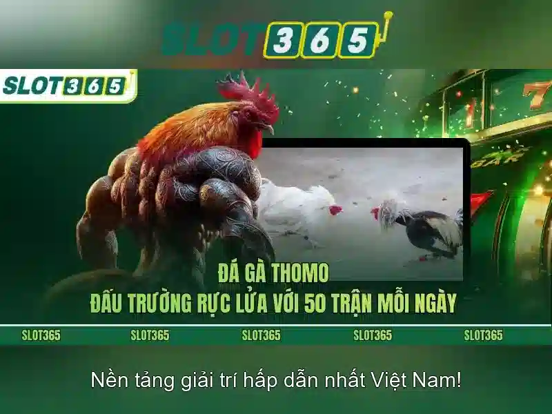 Slot365 - An toàn và bảo mật thông tin
