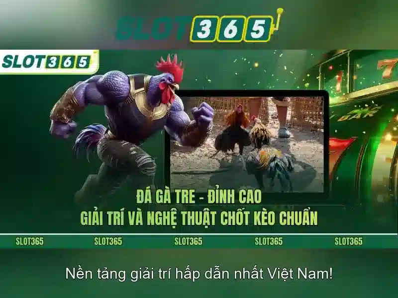 Slot365 – Đánh giá nền tảng đánh bạc trực tuyến