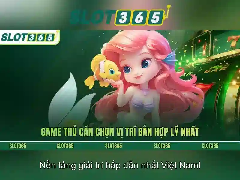 Nền tảng và giao diện người dùng