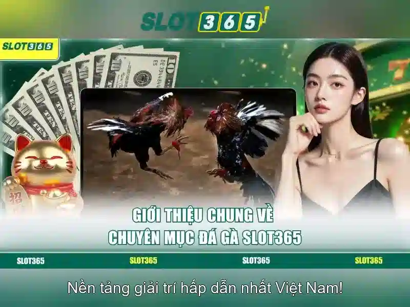 Slot365 - Nền tảng trò chơi trực tuyến đáng tin cậy