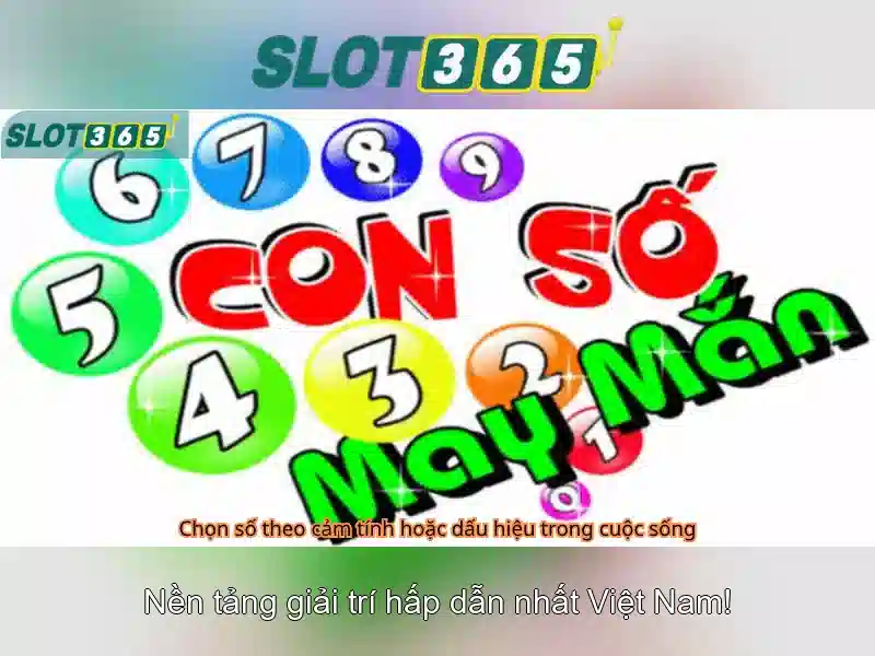 Slot365 và hành trình chuyển đổi casino trực tuyến