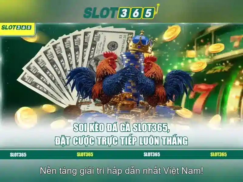 Slot365 là gì?