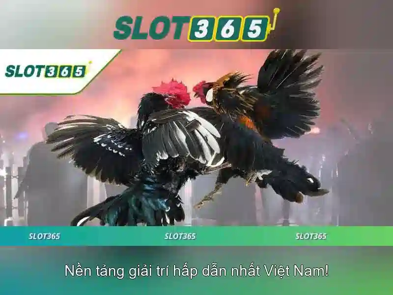An toàn và công khai của Slot365