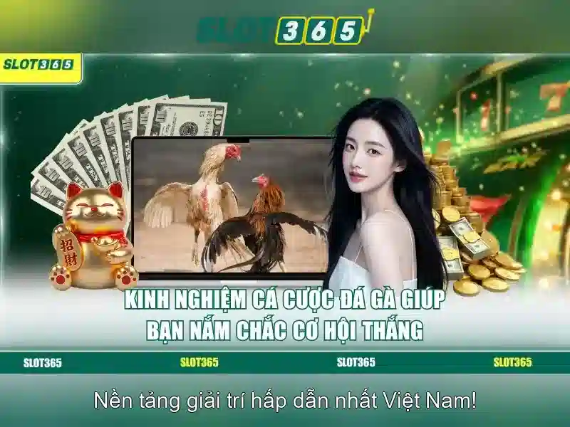 Hỗ trợ khách hàng và dịch vụ